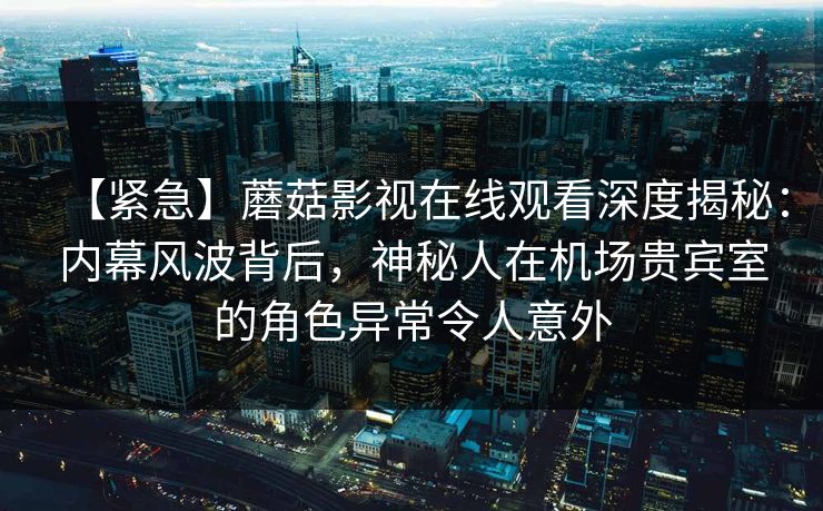 【紧急】蘑菇影视在线观看深度揭秘：内幕风波背后，神秘人在机场贵宾室的角色异常令人意外