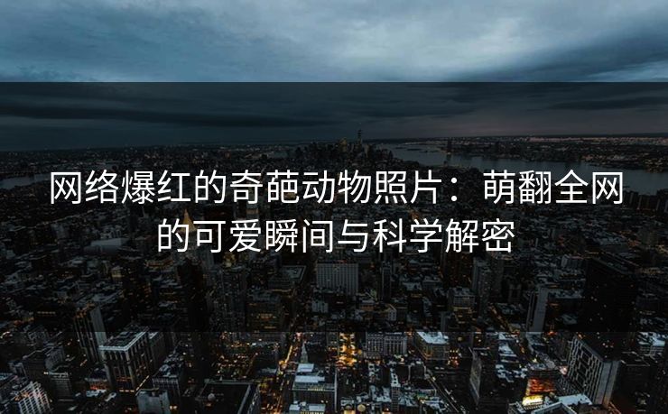 网络爆红的奇葩动物照片:萌翻全网的可爱瞬间与科学解密 网络爆红的奇葩动物照片:萌翻全网的可爱瞬间与科学解密