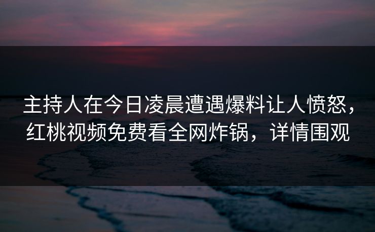 主持人在今日凌晨遭遇爆料让人愤怒,红桃视频免费看全网炸锅,详情围观